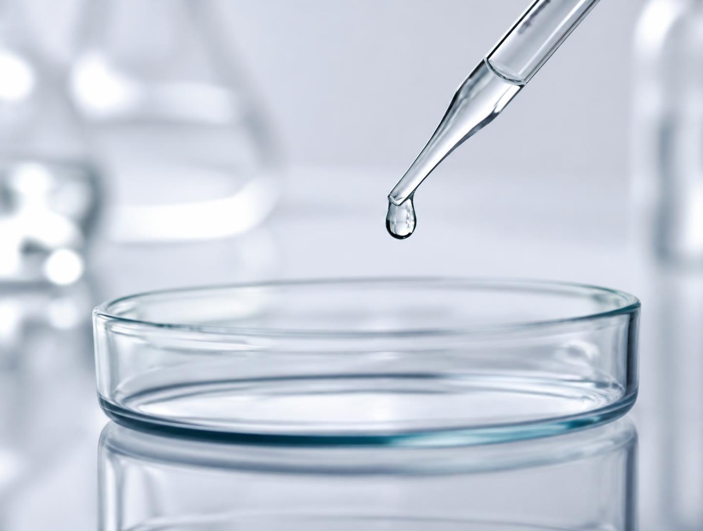 Laboratory pipette releasing a droplet above a petri dish